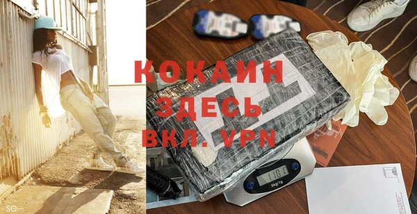 гашик Аркадак