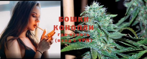 гашик Аркадак