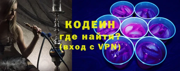 прущие грибы Медвежьегорск