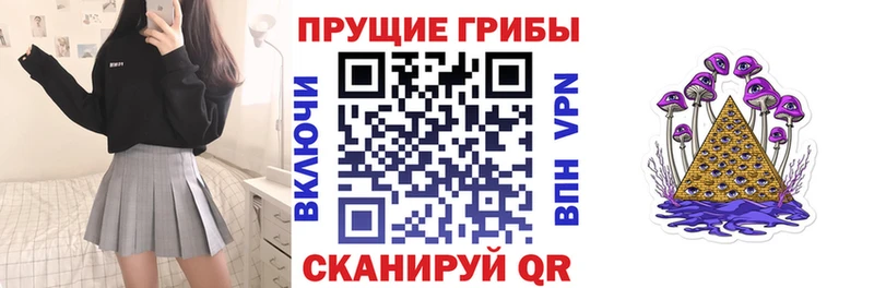 магазин    Спасск-Дальний  Псилоцибиновые грибы GOLDEN TEACHER 